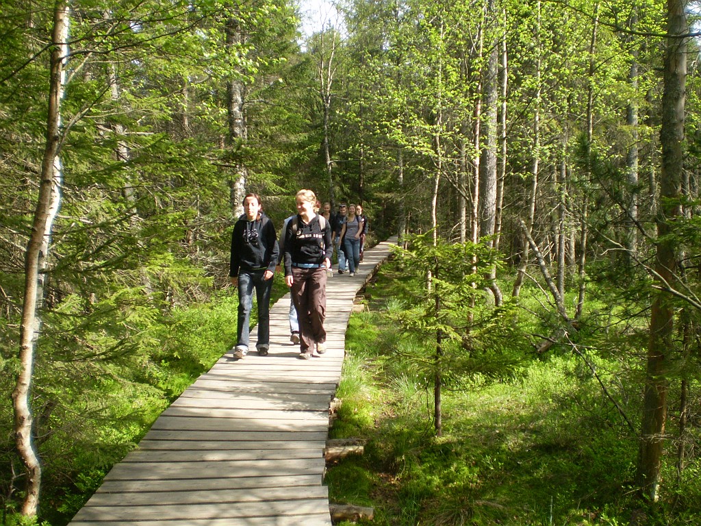 061-rejviz.jpg