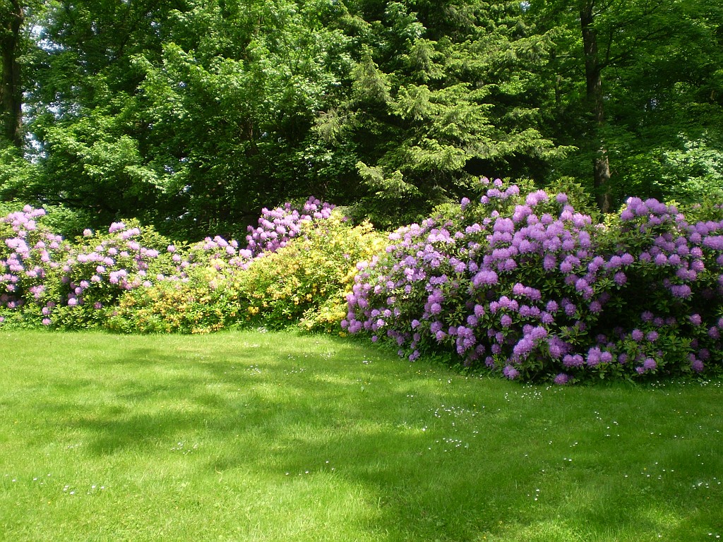 164.jpg