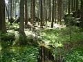 050