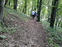 IMG_20180627_093237