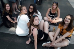 62358325_2527270914068303_400790559762939904_n