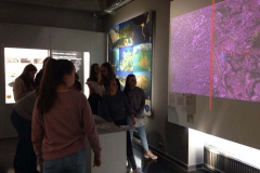 73157817_2733641436685957_119095324244443136_n