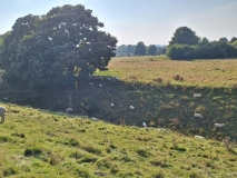 pro-YDdQMKY0-Stredni