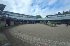 61