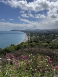 Killiney-Hill-Park-07
