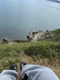 Killiney-Hill-Park-09
