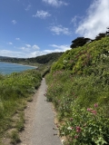 Killiney-Hill-Park-10
