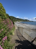 Killiney-Hill-Park-15