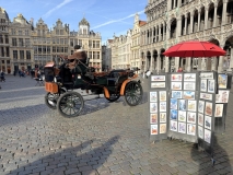 IMG_5431