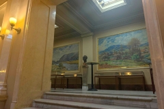 Image1