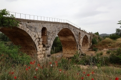 provence_324