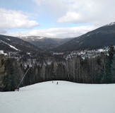 IMG-20250317-WA0010