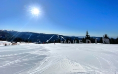 IMG-20250318-WA0020