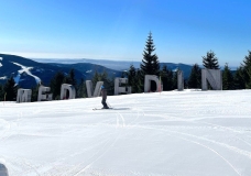 IMG-20250318-WA0026