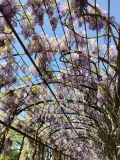 IMG_20240412_102550